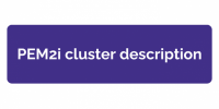 PEM2i Cluster description